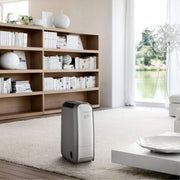 Delonghi DNS80 Tasciugo AriaDry 20L Zeolite & Ionizer Dehumidifier