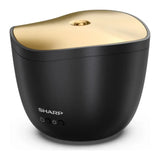 Sharp DFA1EB, front view with three buttons below the logo