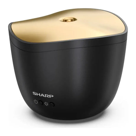 Sharp DFA1EB, front view with three buttons below the logo