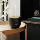 Sharp DFA1EB, on a round side table in daylight with petals
