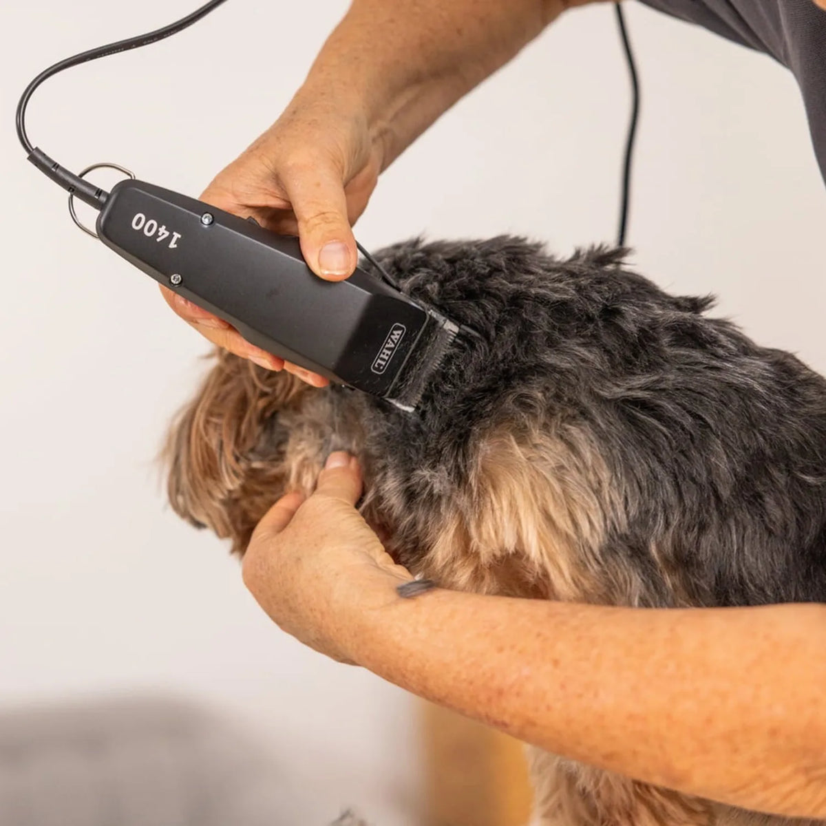 Wahl 1406-0489 Pet Clipper, in use