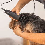 Wahl 1406-0489 Pet Clipper, in use