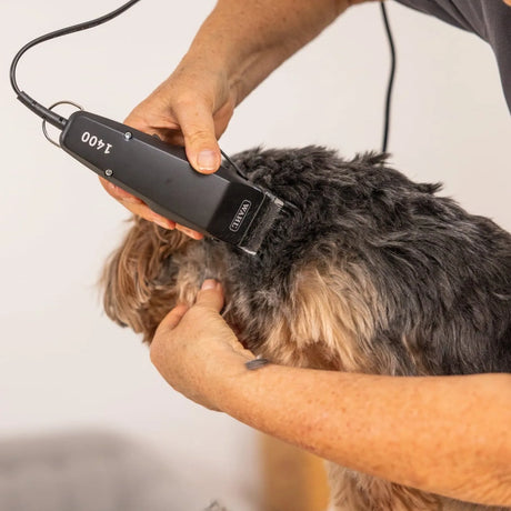 Wahl 1406-0489 Pet Clipper, in use