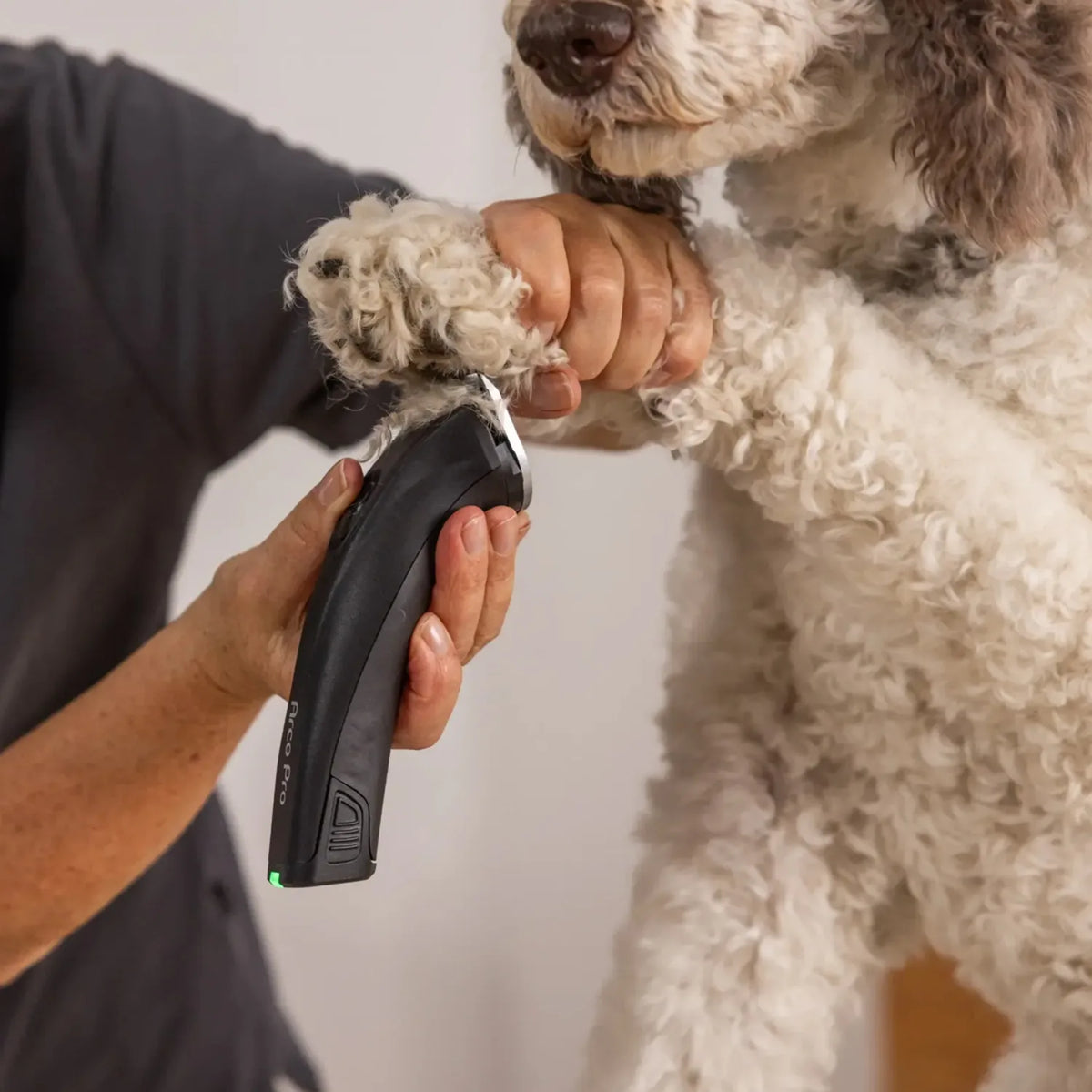 Wahl Arco Pro 1876-0472 Pet Clipper in Black, in use