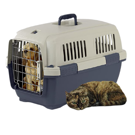 Marchioro Clipper Cayman Pet Carrier, with a cat inside